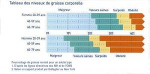 Taux de graisse corporelle normal
