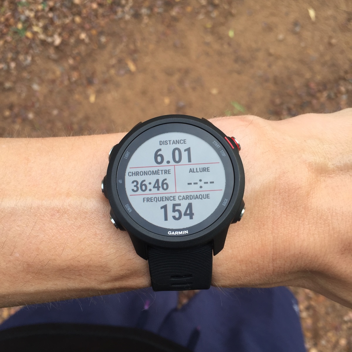 Montre Garmin Forerunner 245 Music – Noire – GPS Cardio – NEUVE