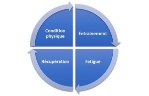 Cycle-amelioration-entrainement